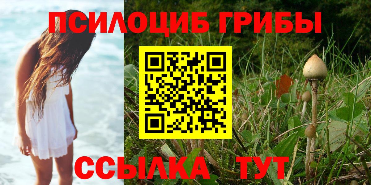 Котлас  Псилоцибиновые грибы ЛСД  Вход с VPN 
